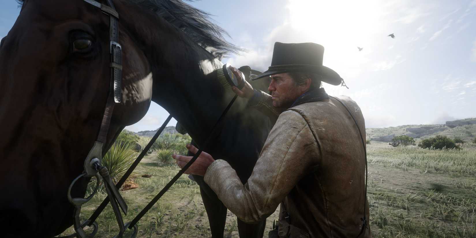 arthur brushes his horse