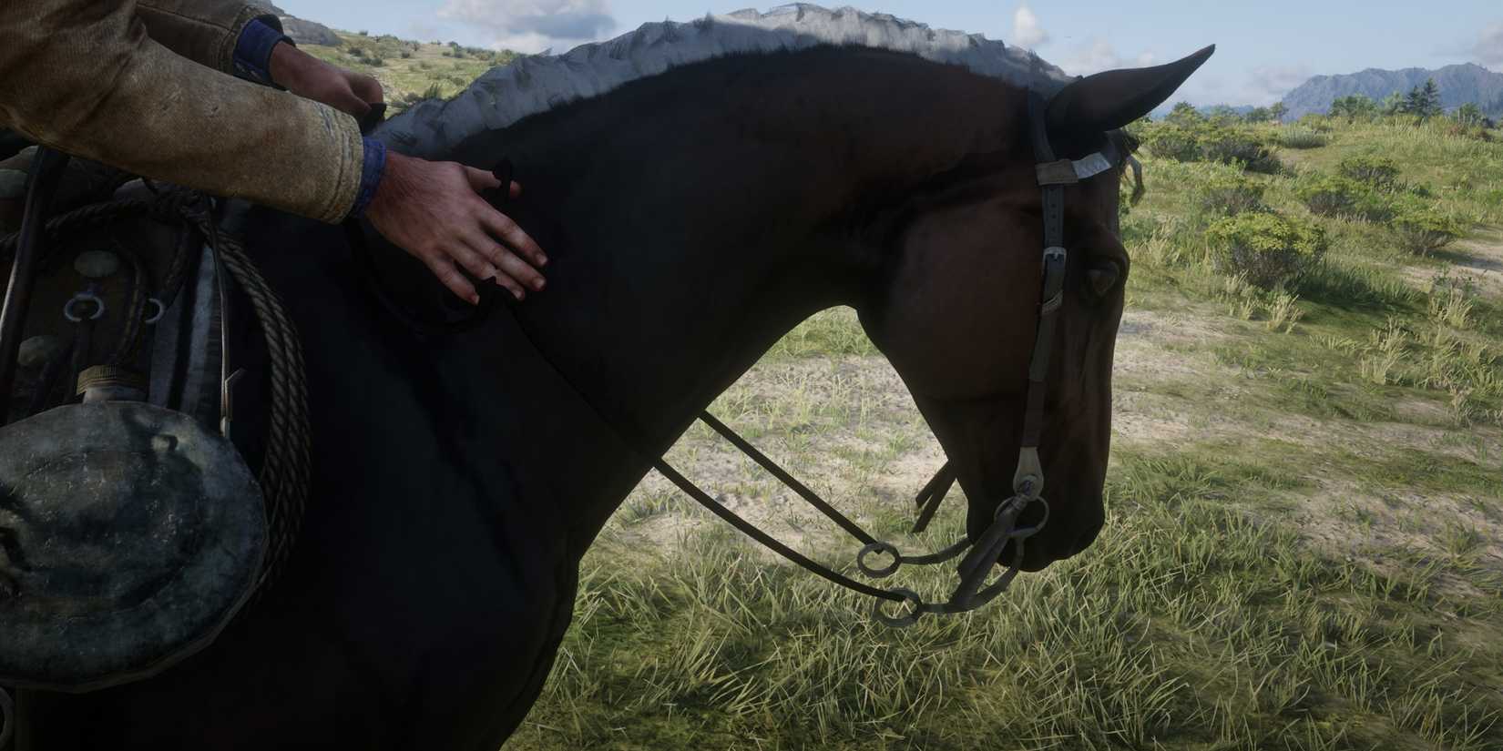 arthur gives his horse a pet