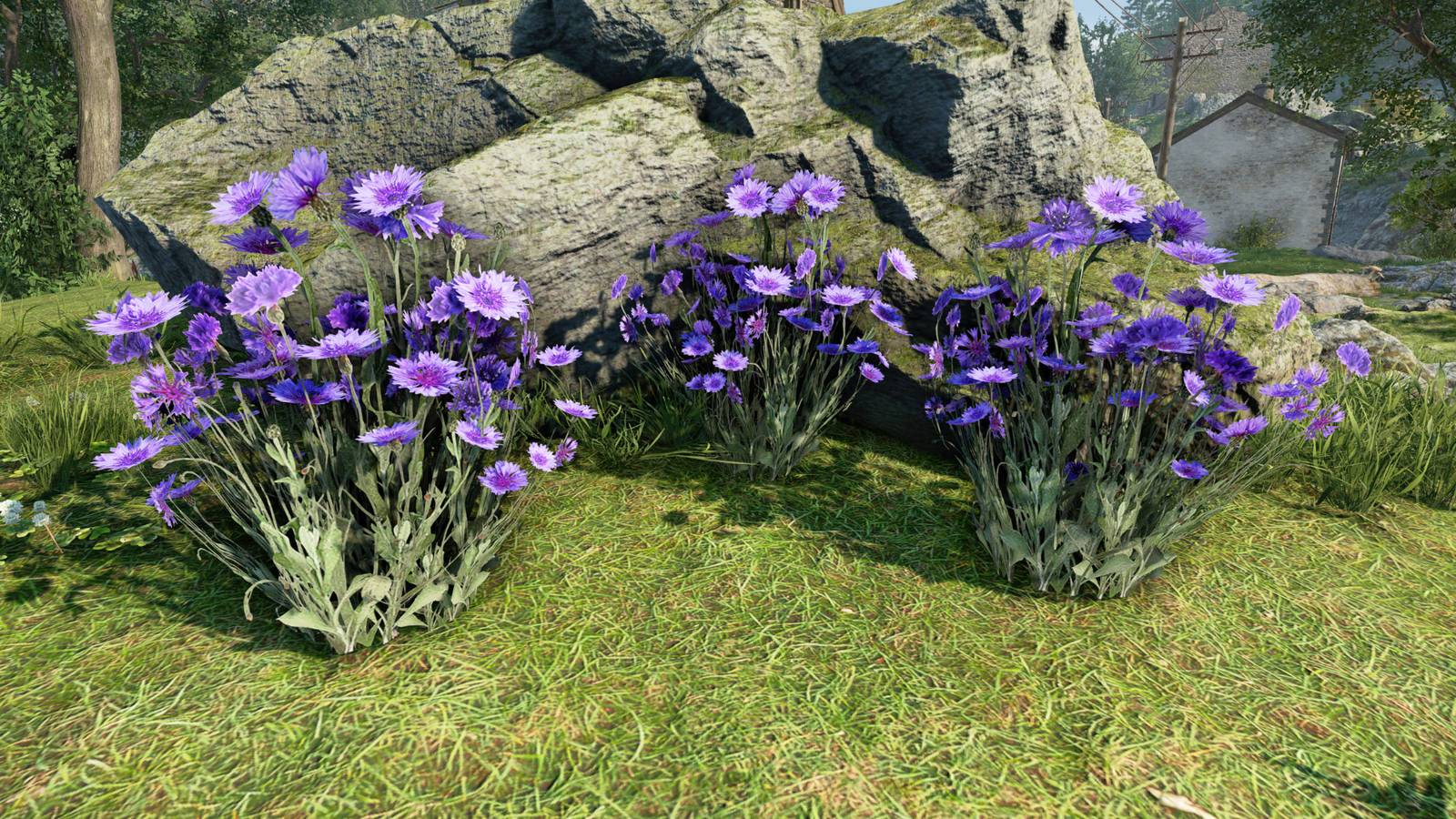 Atomfall How To Get Herbs Farm Herb Locations