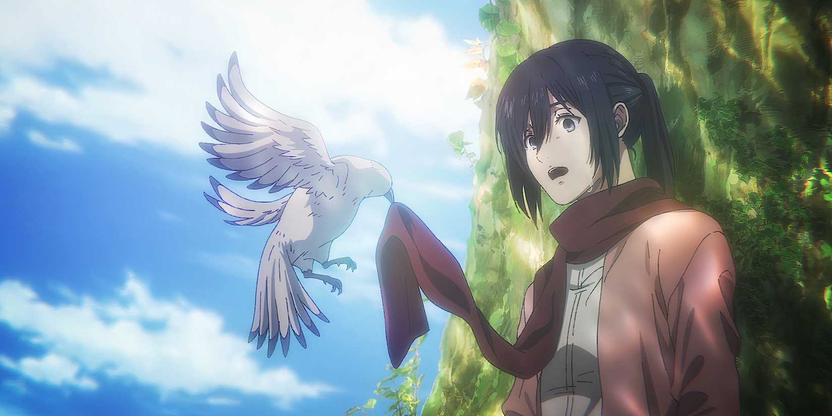 Pájaro envuelve la bufanda de Mikasa en Ataque a los Titanes