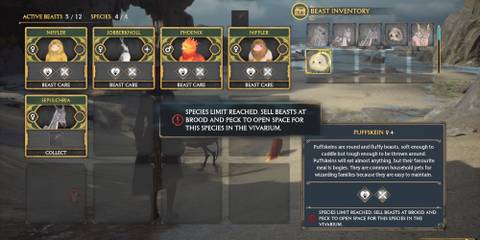 Beast species limit reached in Hogwarts Legacy