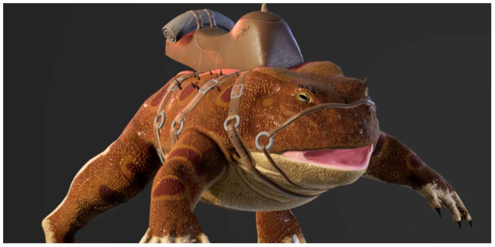 Beelzebufo frog standing still with dark background