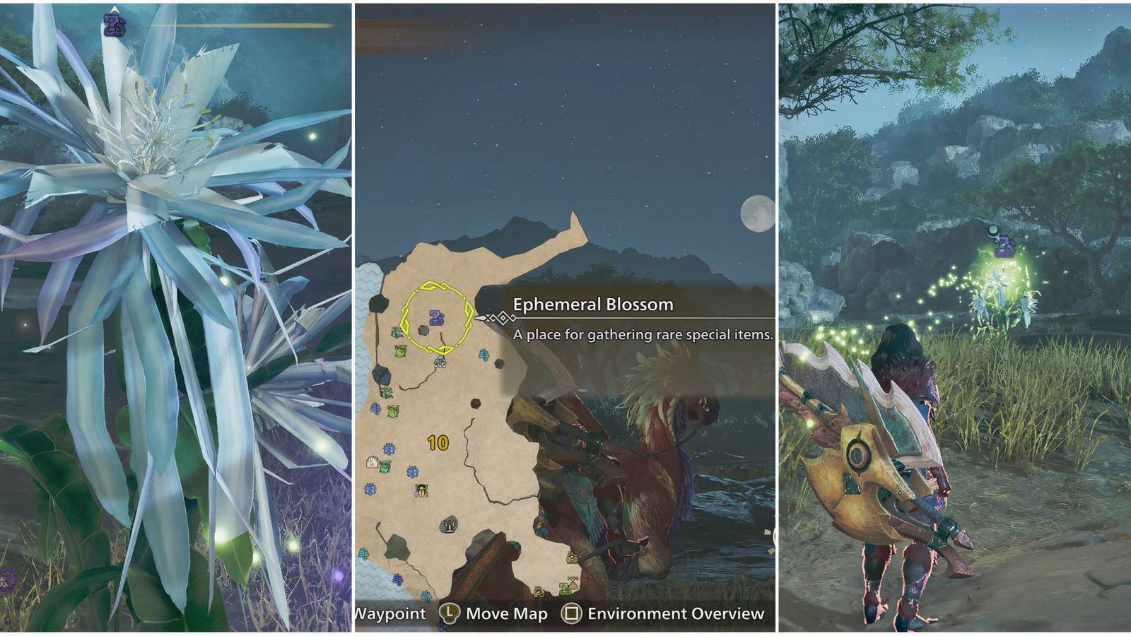 Monster Hunter Wilds - Finding Nightflower Pollen