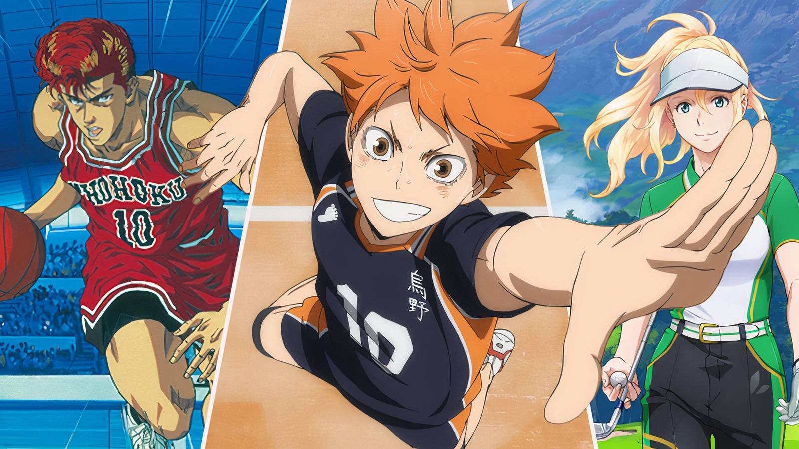 best sports anime slam dunk haikyu birdie wing