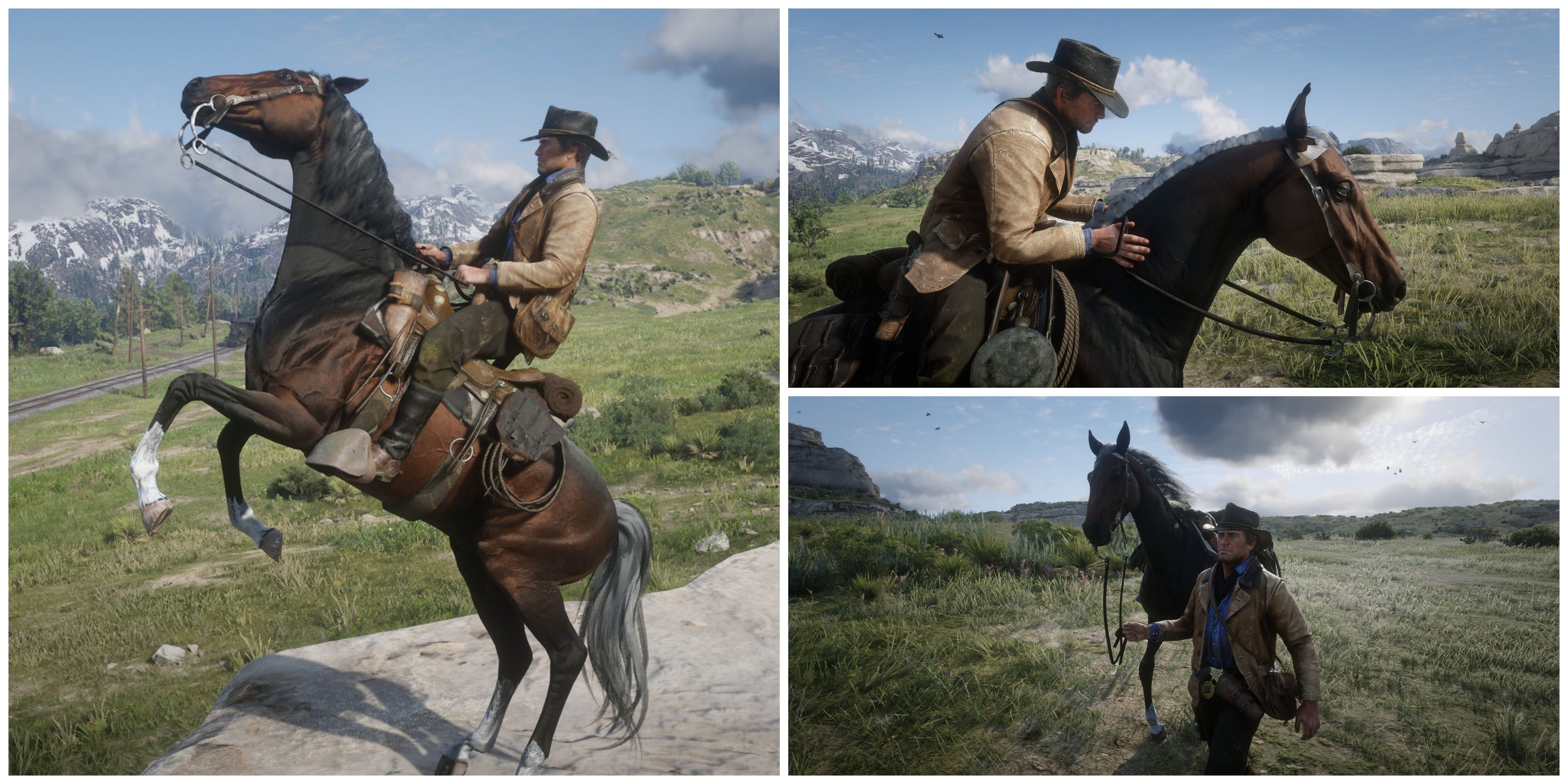 best ways to get horse bond xp in rdr2