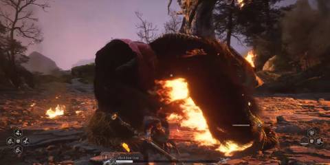 Black Myth Wukong Black Bear Guai Boss Fight