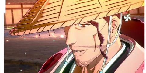 Bleach Rebirth of Souls- Shunsui Kyoraku
