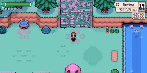 Blocked path to the Deep Woods in Fields of Mistria