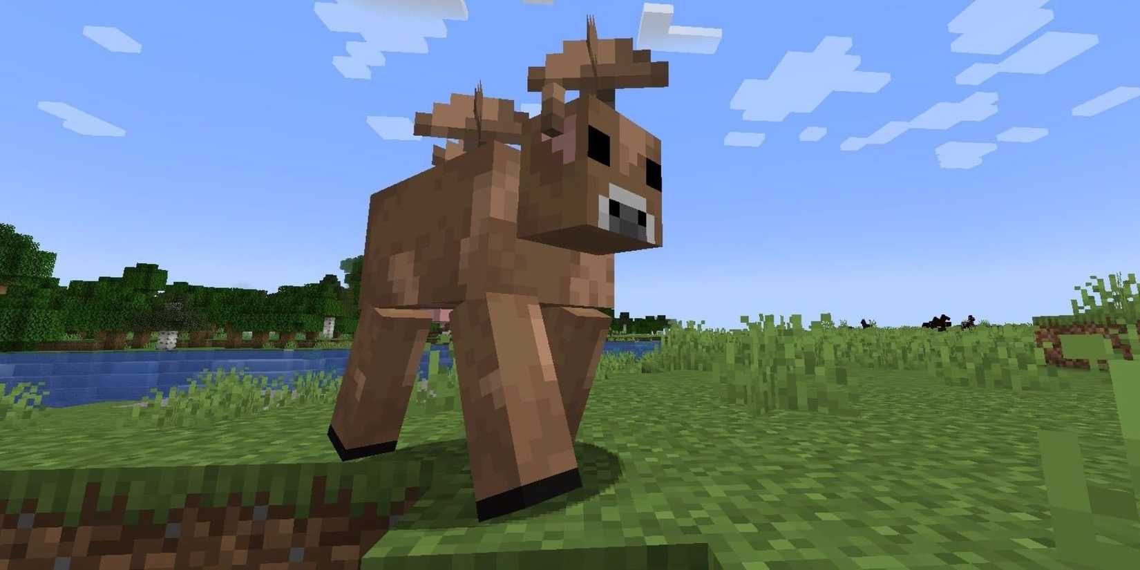 Brown Mooshroom Roaming Grassy Plains