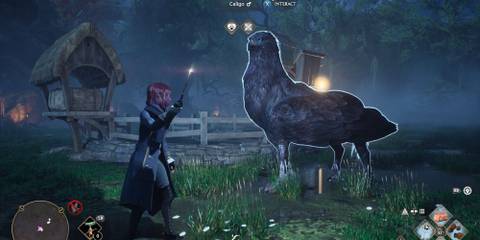Caligo Onyx Hippogriff in Hogwarts Legacy Swamp Vivarium