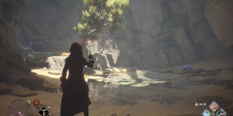 Coastal Vivarium in Hogwarts Legacy