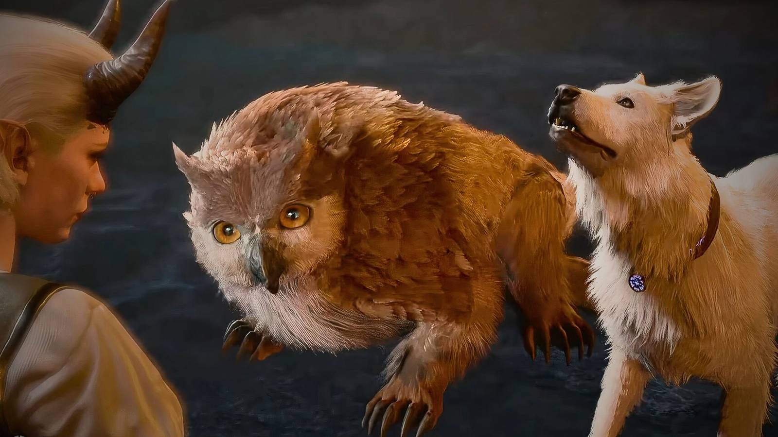 Scratch and Owlbear Cub camp event in Baldur's Gate 3