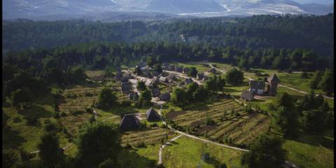 An Aerial View of Village in Manor Lords, Surrounded By Many Trees