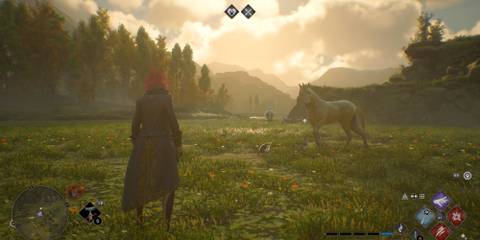 Default Forest Vivarium in Hogwarts Legacy 