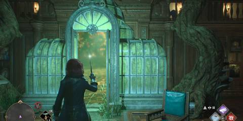 Default Forest Vivarium in Hogwarts Legacy