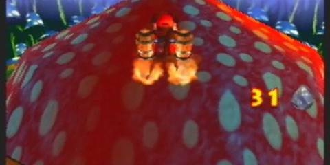 Donkey Kong 64 Mushroom