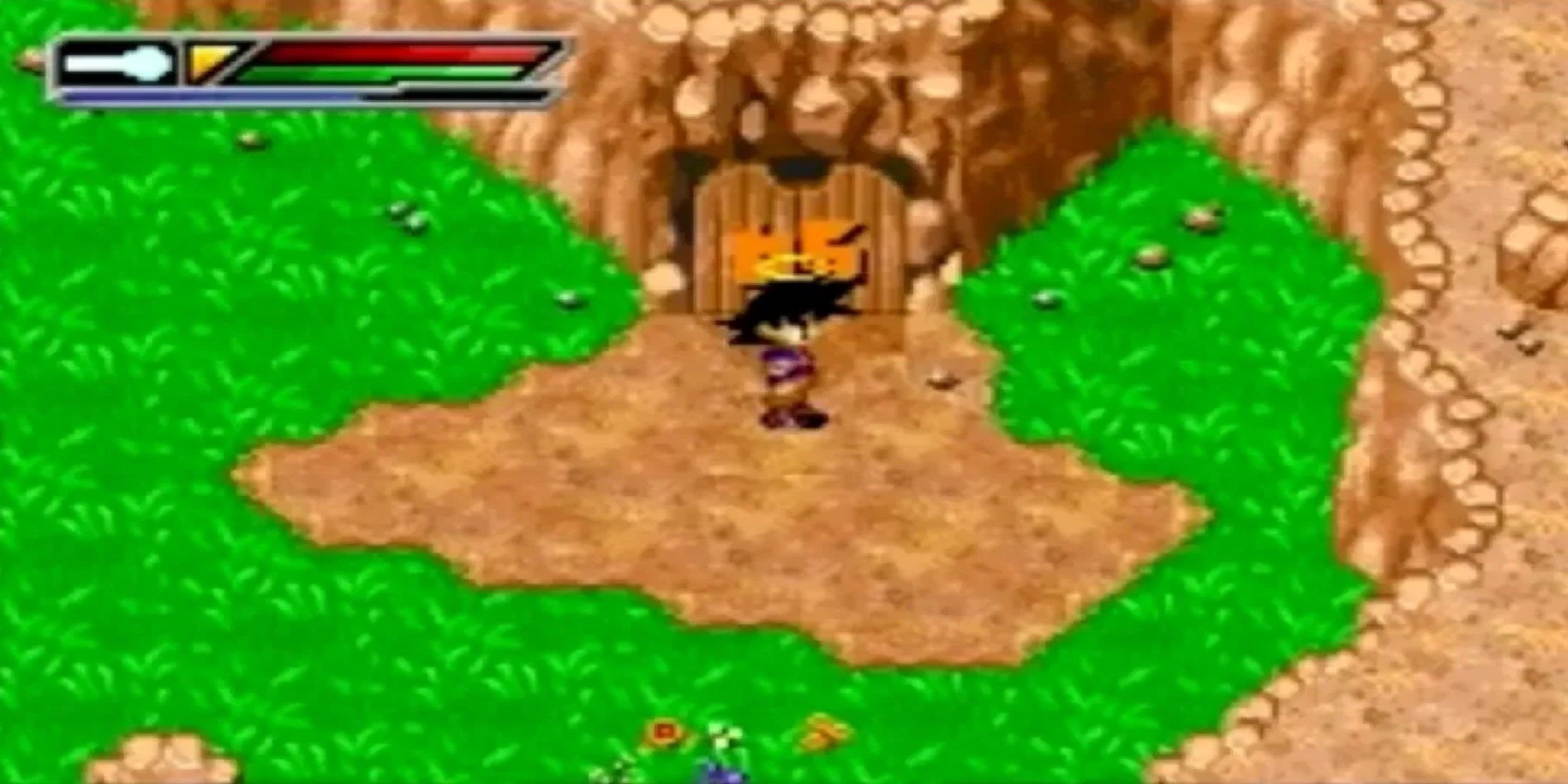 Dragon Ball Z Buu's Fury goku