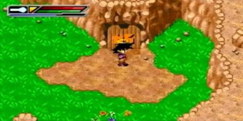 Dragon Ball Z Buu's Fury goku