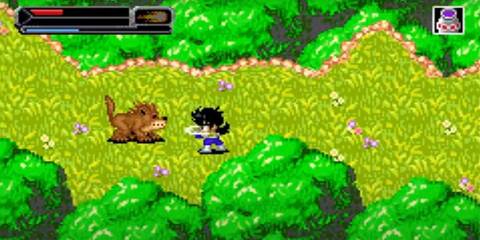 Dragon Ball Z The Legacy of Goku II gohan