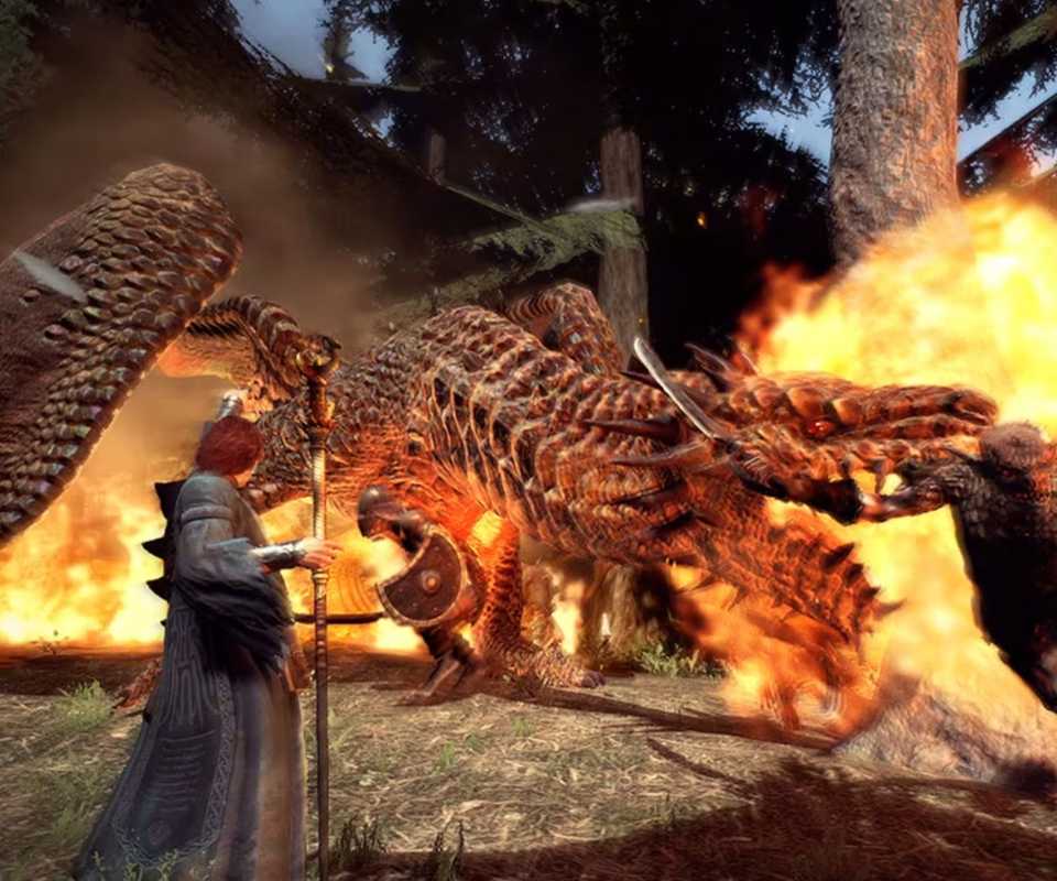 Dragon’s Dogma Dark Arisen Nintendo Switch (4)