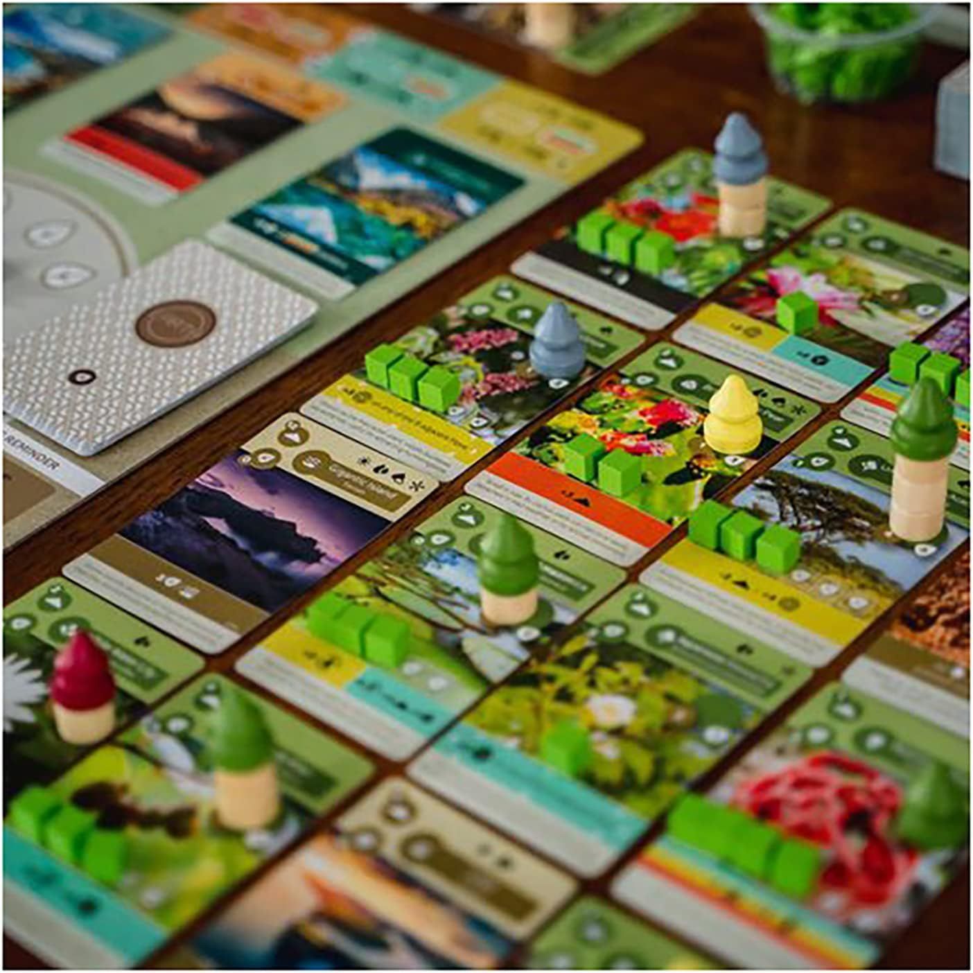 Love Strategy And Nature? Earth Board Game Lets You Design Your Own ...