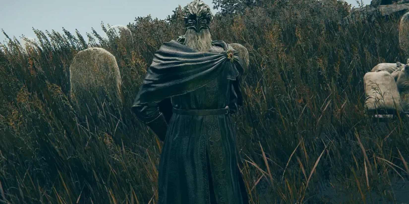 Elden Ring Ansbach standing in grass