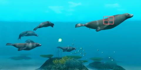 Endless Ocean Blue World