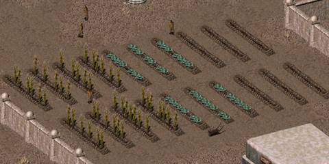 Fallout Iconic Locations Shady Sands 2