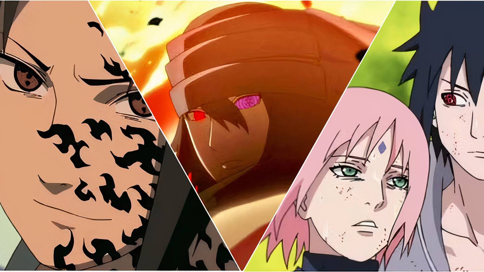 featued image for things sauke can do better than snaturo