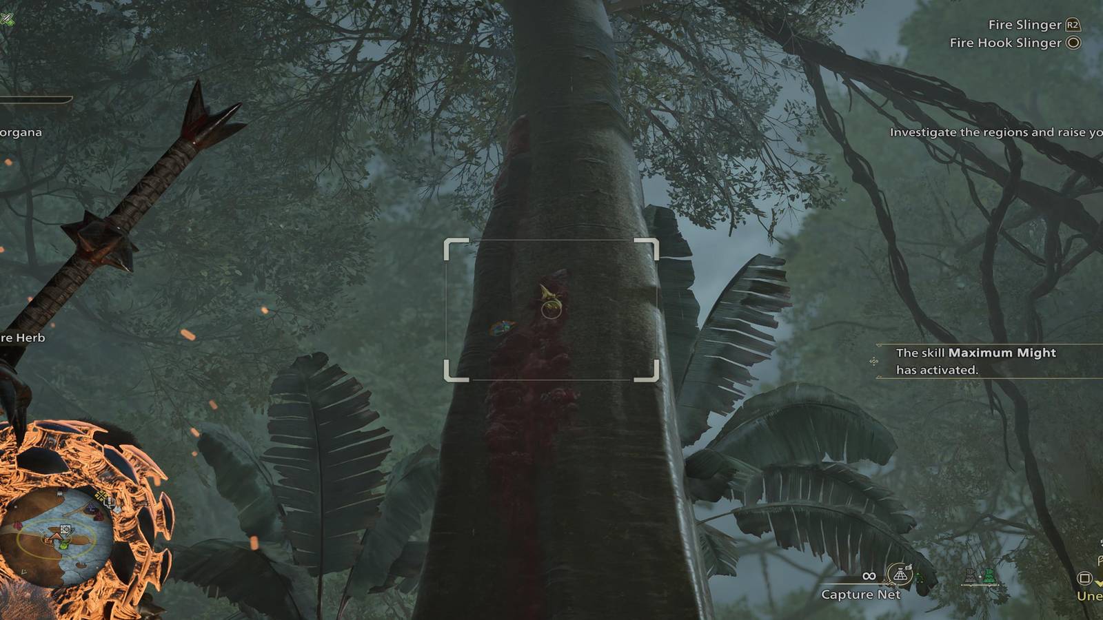 The Player Facing A Gold Hercudrome