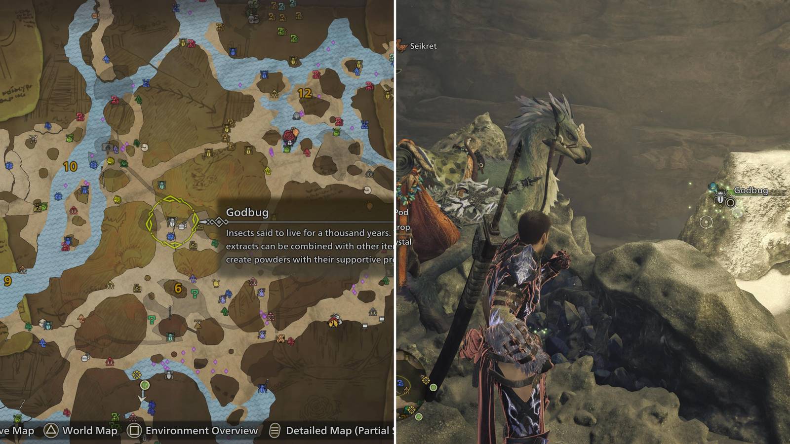 A Godbug On The Map & The Player Approaching One