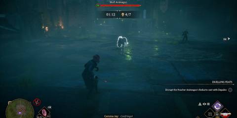 Fighting a Wolf Animagus in Hogwarts Legacy's North Coast Battle Arena