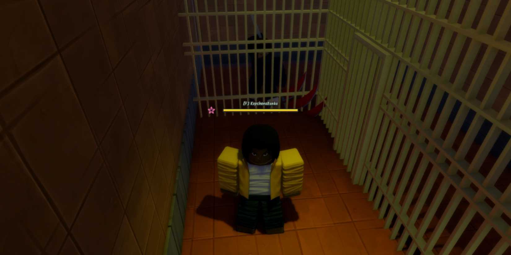 Ninja Time Renegade Prisoner