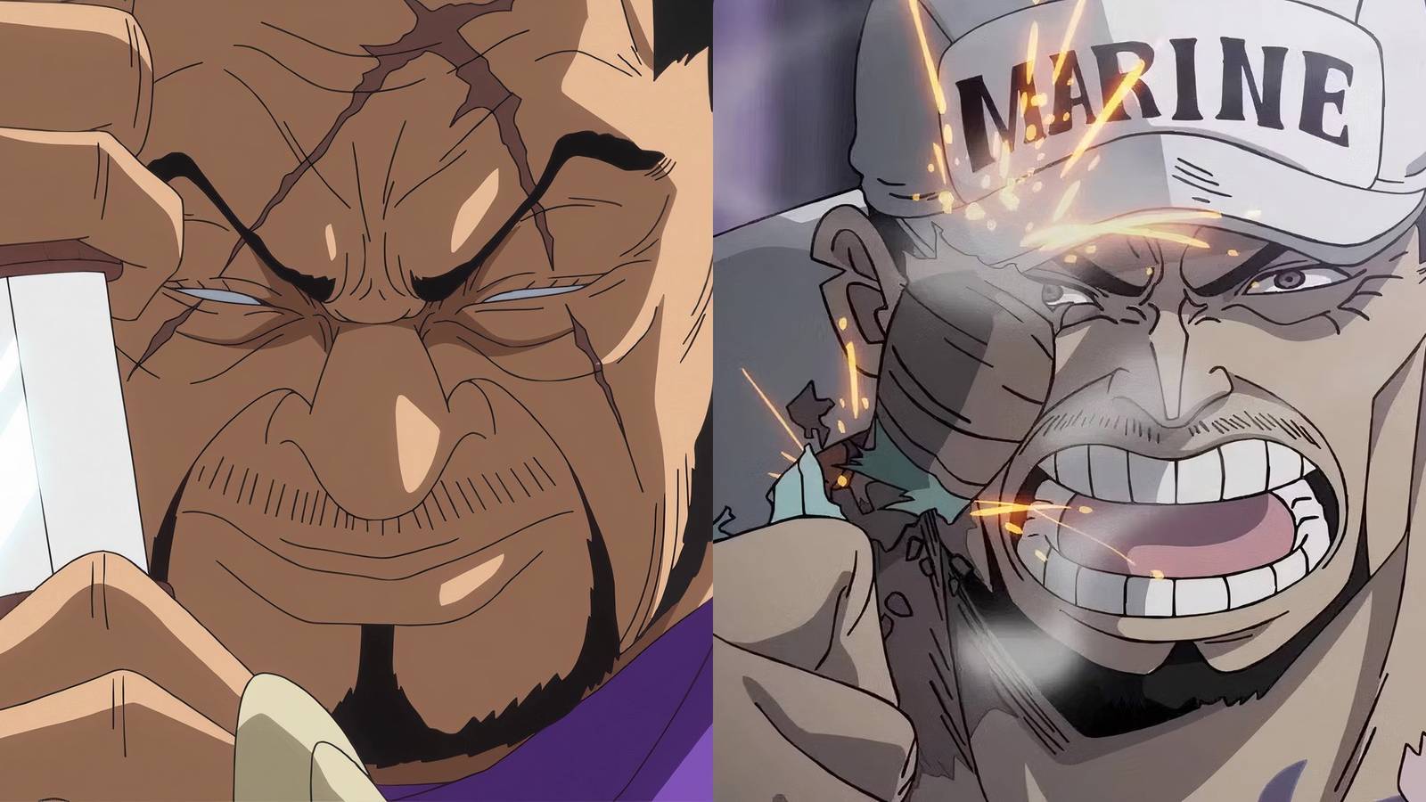 Fujitora Akainu Fleet Admiral