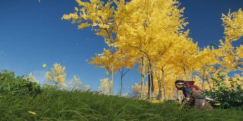 Ghost of Tsushima Golden forest Jin Sakai