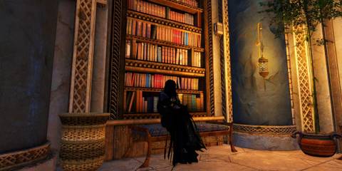 Guild wars 2 sitting in a library