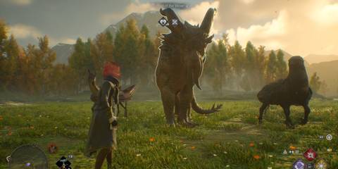 Magical Beasts in Hogwarts Legacy Default Forest Vivarium