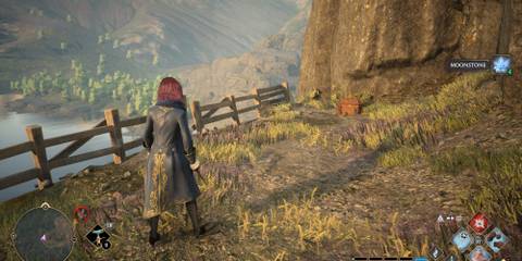 Hogwarts Legacy Mountain Vivarium small chest 