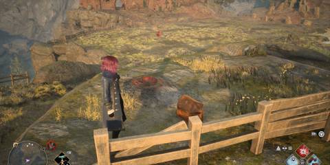 Hogwarts Legacy Mountain Vivarium small chest location