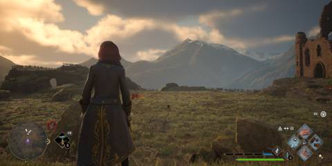 Hogwarts Legacy Mountain Vivarium 