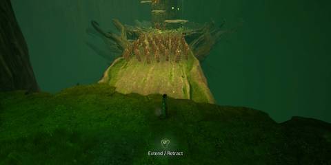 Hopes of Spring Walkthrough Split Fiction Heart of the Forest Becoming One with Nature