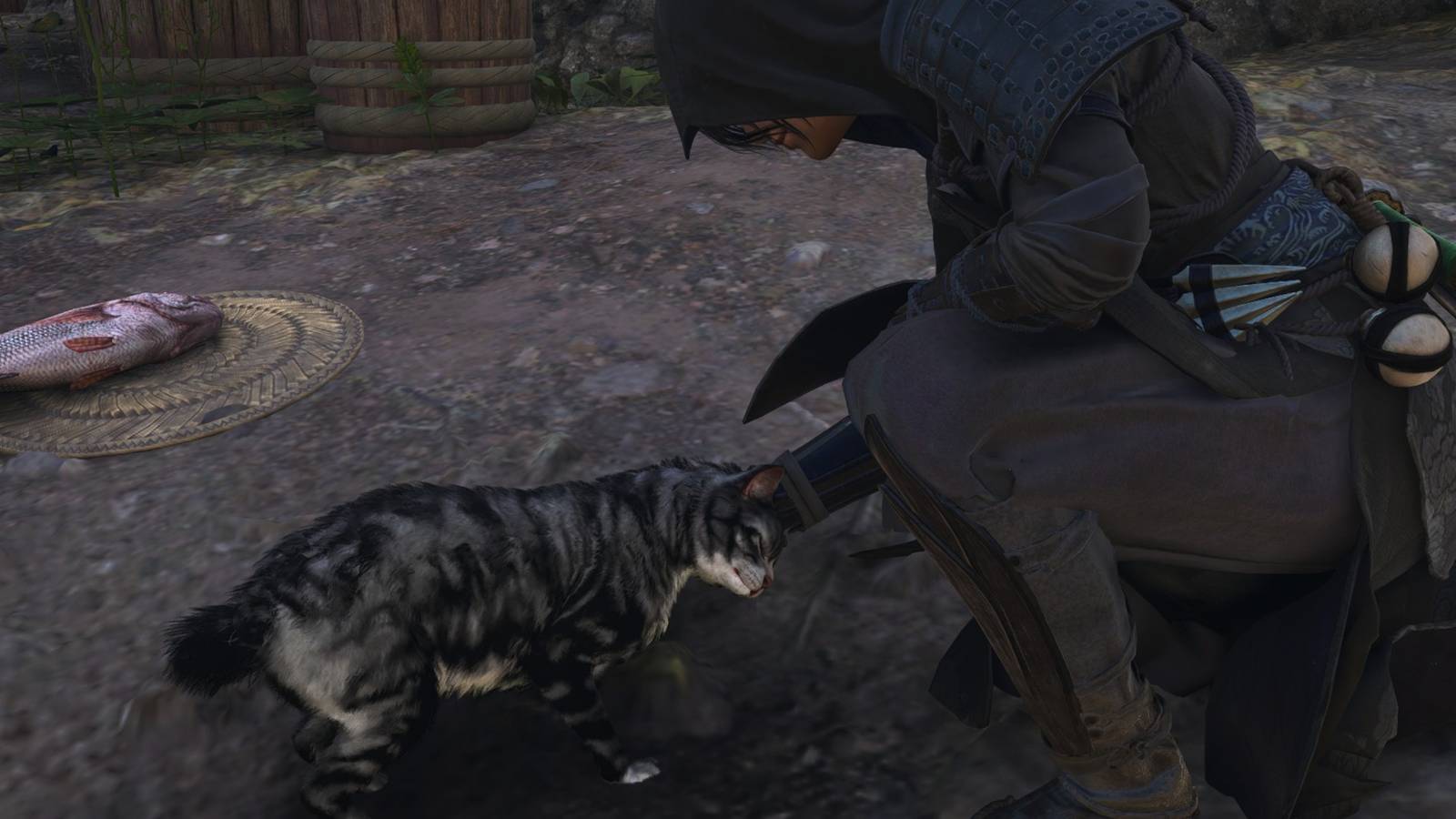 How to Find Cat Island in Assassin's Creed Shadows (The Wheel Turns), image size:1600x900