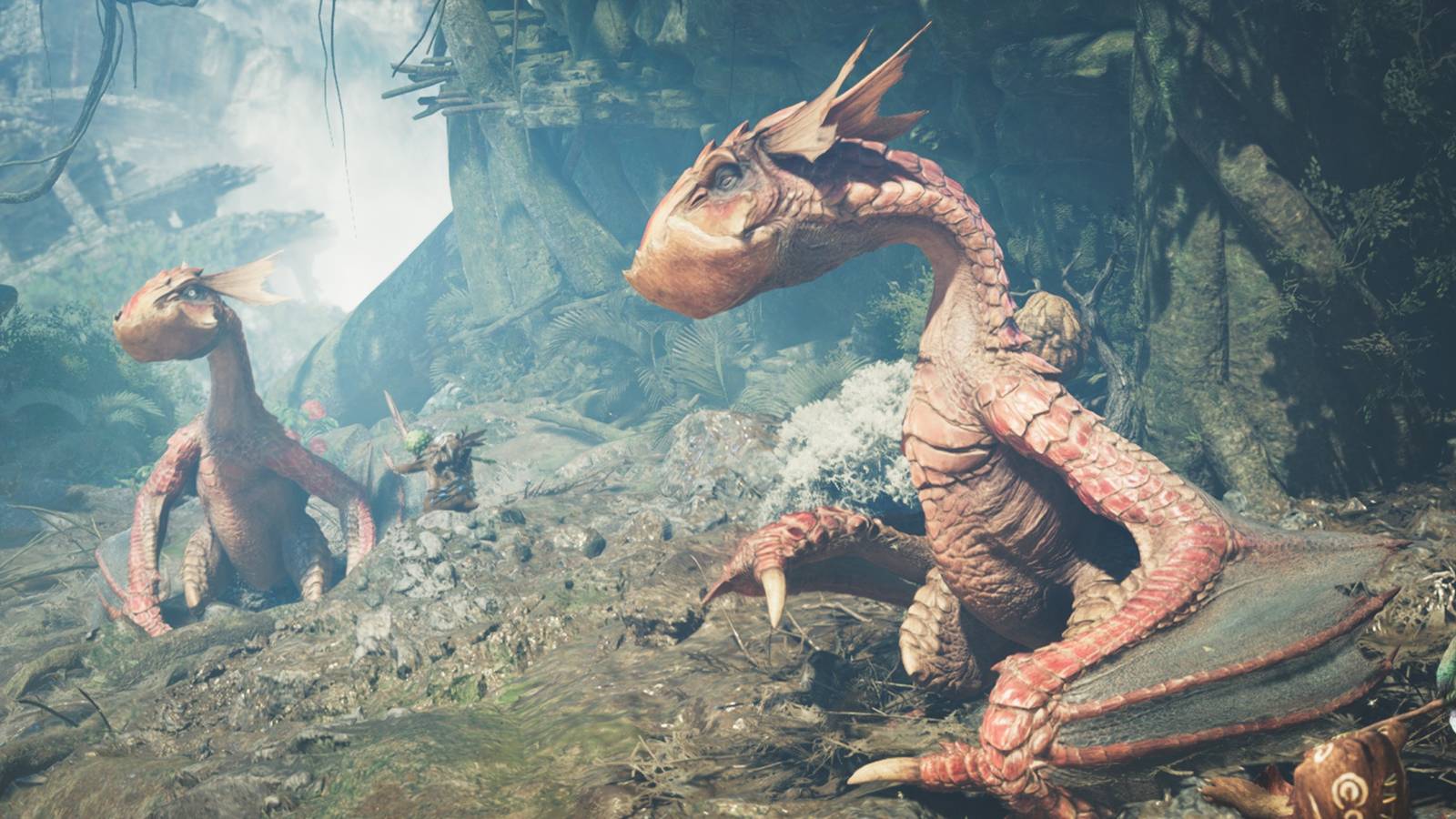 How To Get Great Beak - Yian Kut-Ku in Monster Hunter Wilds