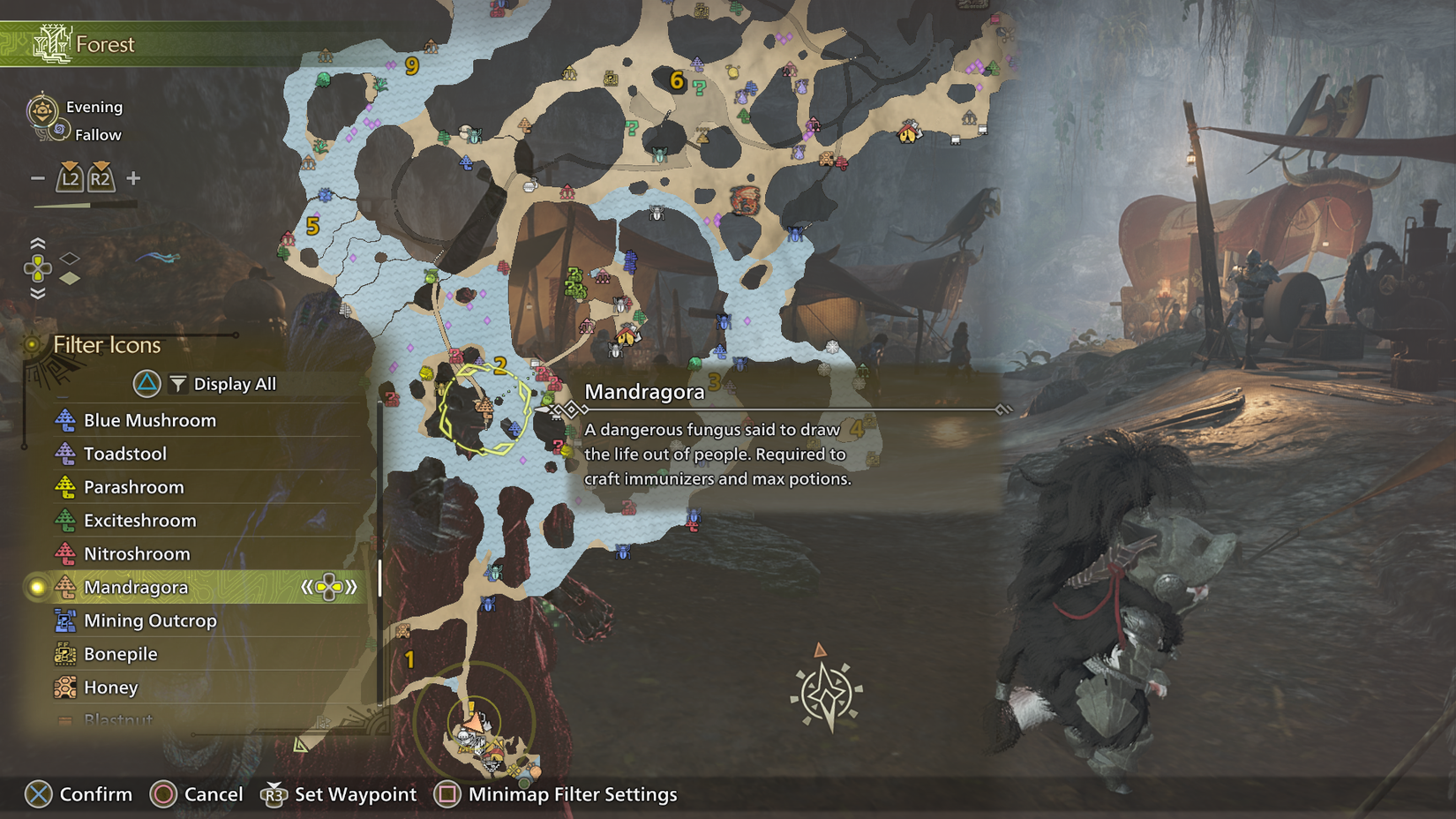 MH Wilds Mandragora on Map