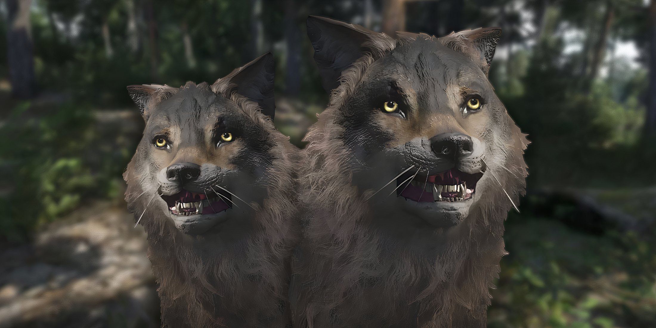 kingdom-come-deliverance-2-kcd2-where-get-wolf-fangs