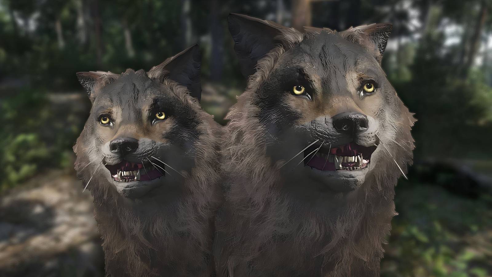 Two Wolves Words Where To Get Wolf Fangs In Kingdom Come: Deliverance 2