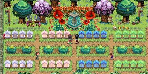 Kynseed beautiful garden