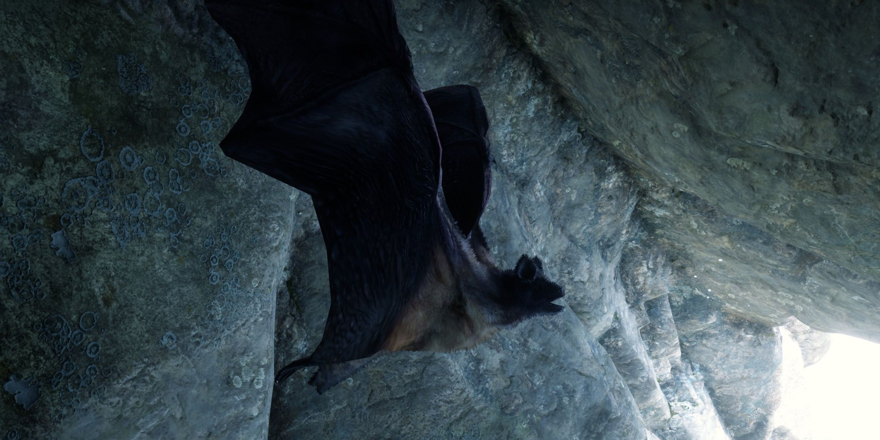 little brown bats in rdr2