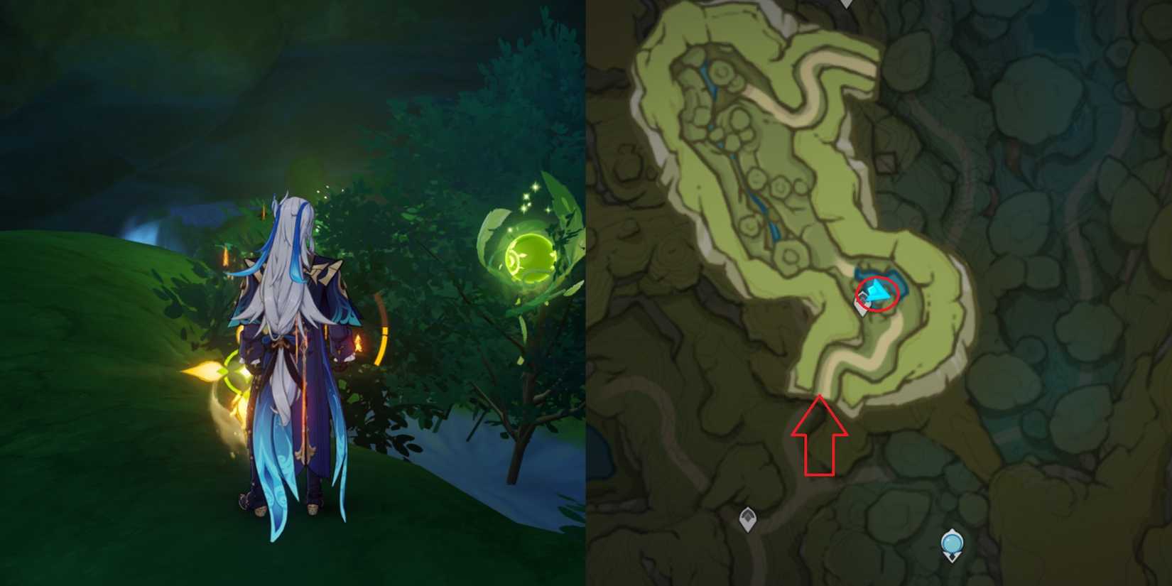 Lokapala Jungle Dendroculus Location 10