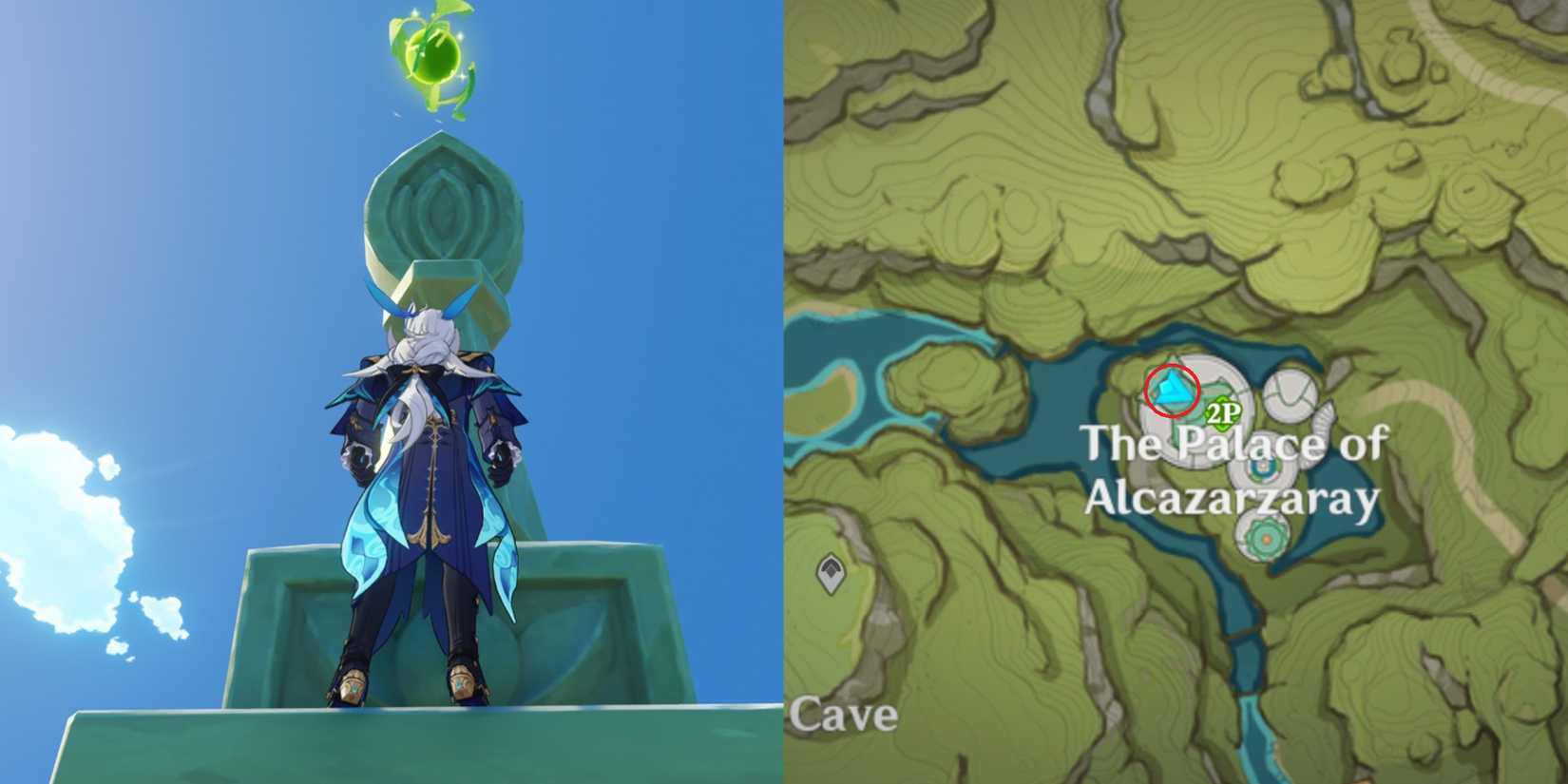 Lokapala Jungle Dendroculus Location 11